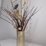 Apartment Fibula